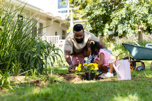 Equity in Green: Addressing Socioeconomic Disparities